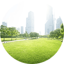 Lawn_with_City_Scape_Backdrop